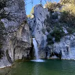 Azalee * Molieres-sur-Ceze