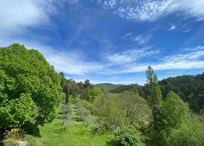 Azalee Molieres-sur-Ceze