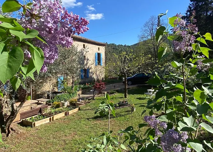 Apartment Azalee Molieres-sur-Ceze